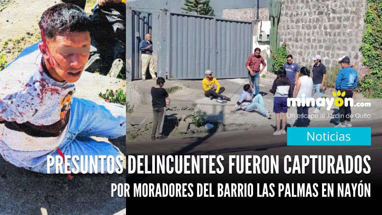 Presuntos delincuentes fueron capturados por moradores del barrio Las Palmas en Nayón
