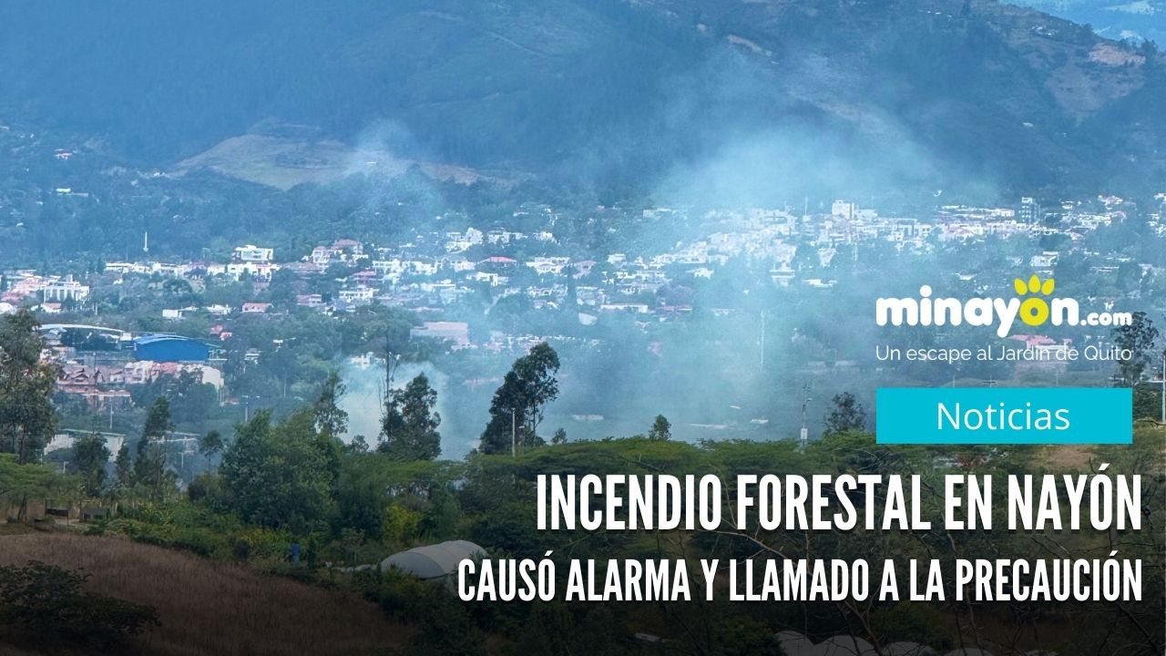 Incendio Forestal en Nayón Causó Alarma y Llamado a la Precaución