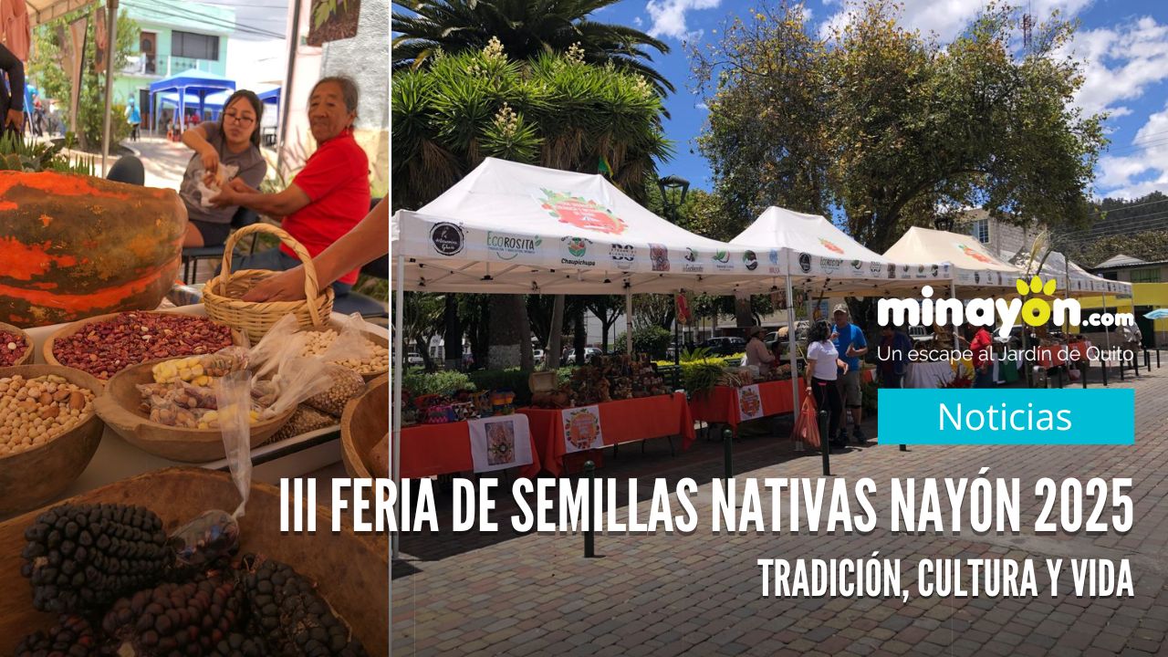 III Feria de Semillas Nativas Nayón 2025: tradición, cultura y vida