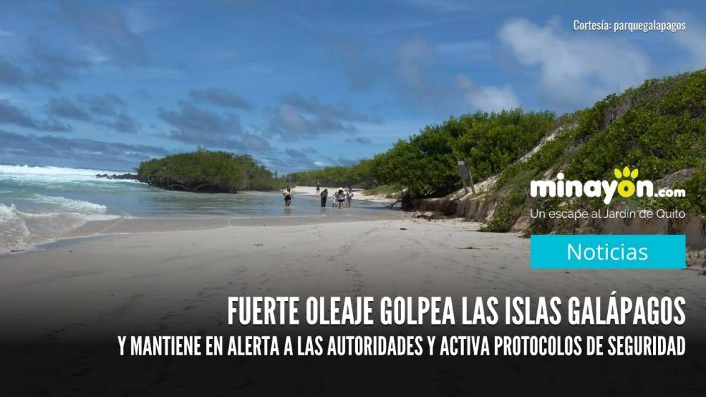 Fuerte oleaje golpea las Islas Galápagos y mantiene en alerta a las autoridades y activa protocolos de seguridad