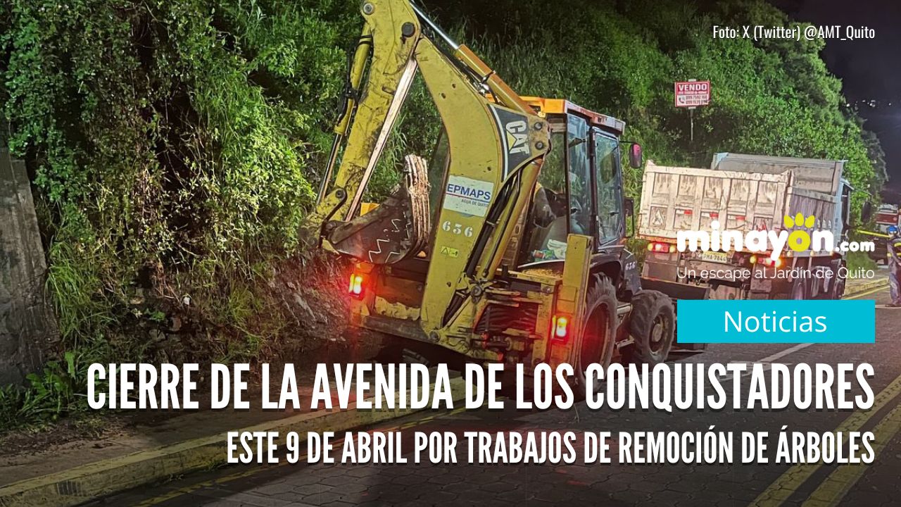 Cierre de la avenida De Los Conquistadores este 9 de abril por trabajos de remoción de árboles