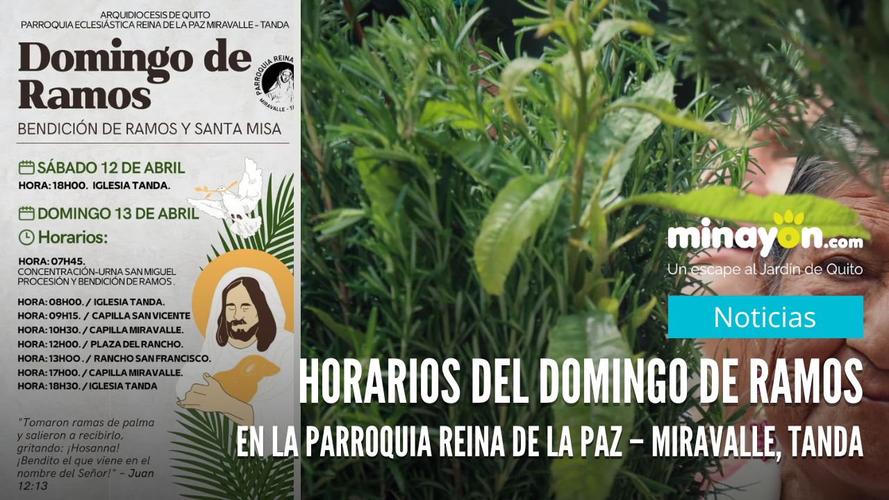 Horarios del Domingo de Ramos en la Parroquia Reina de la Paz – Miravalle, Tanda