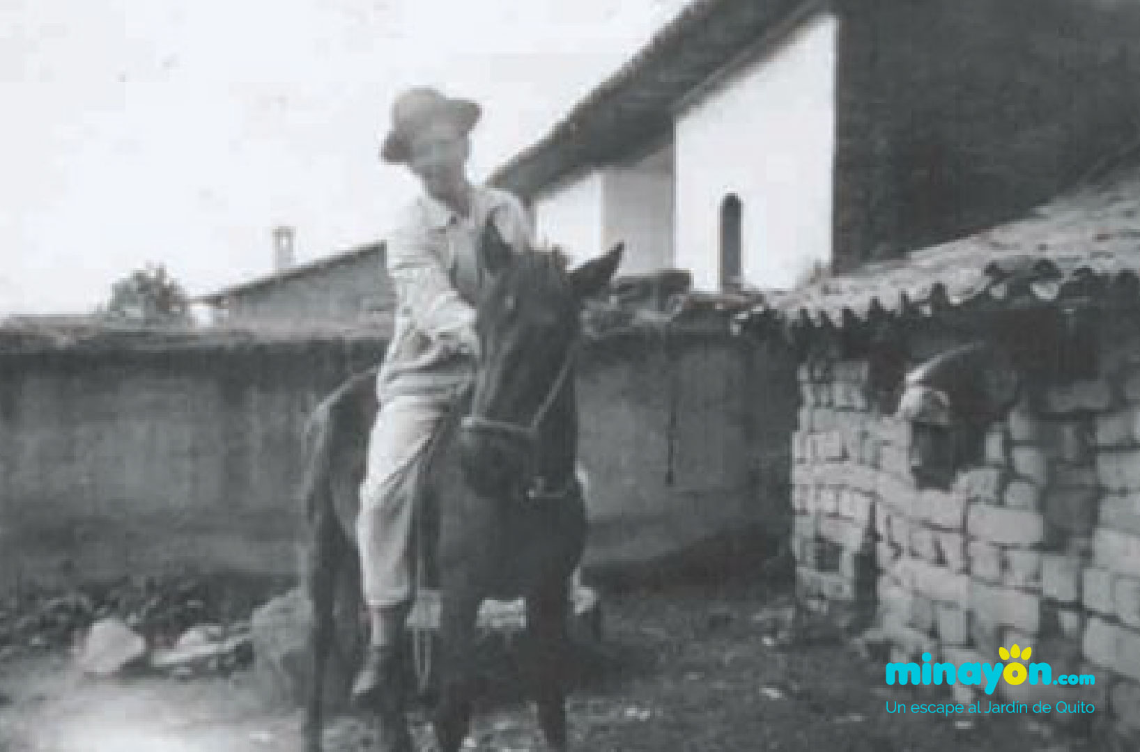 Cambeo - Experiencia Nayón