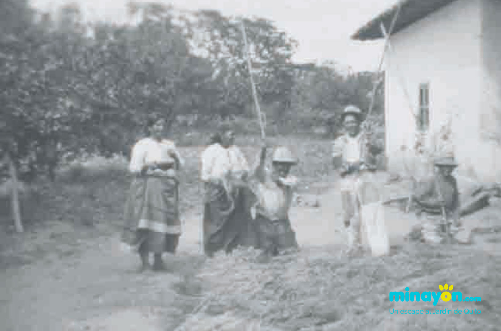 Cambeo - Experiencia Nayón