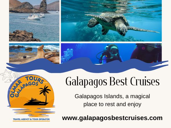 Galapagos Best Cruises, galapagos cruises, galapagos tours, galapagos last minute, galapagos diving, galapagos islands tours, galapagos cruise ships, Quito, Ecuador, Galapagos, Cuenca, Loja, USA