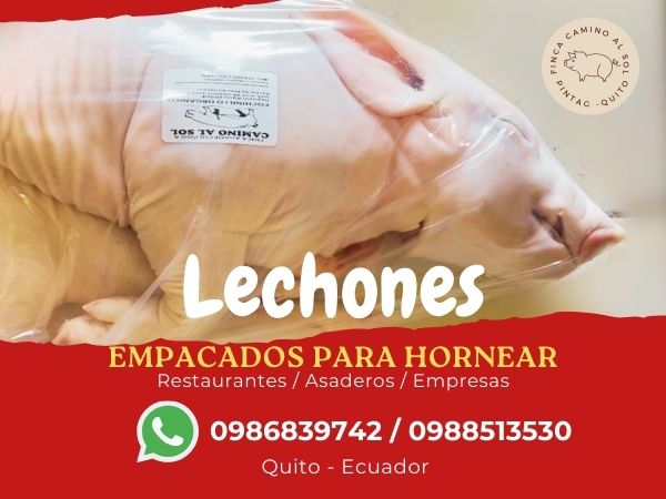 Lechones, Navidad, Año Nuevo, Cerdos Horneados, Lechones horneados, Lechones faenados, lechones en pie, Fiestas de Navidad, Fiestas de Fin de Año, Restaurantes, Cena Navidad, Cena Navideña, Cena en Familia