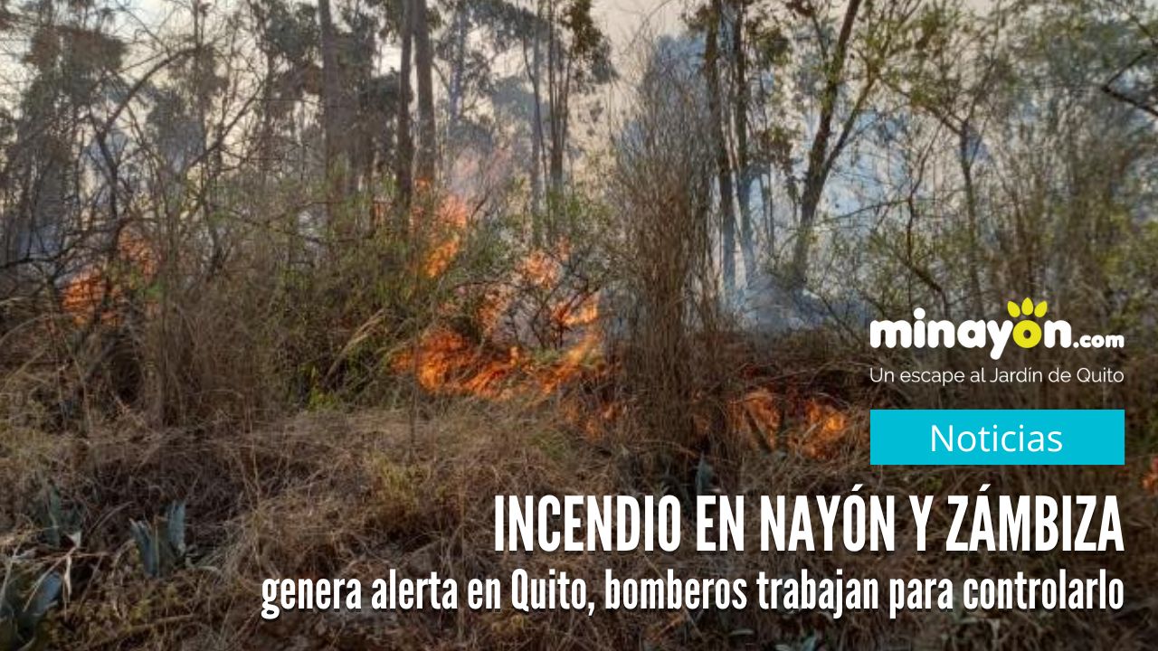 Incendio en Nayón y Zámbiza genera alerta en Quito, bomberos trabajan para controlarlo